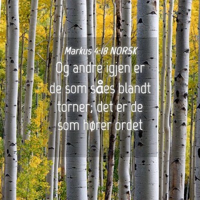 Picture 04 - Markus 4:18 NORSK - Og andre igjen er de som såes blandt torner; det - Bible Verse Picture