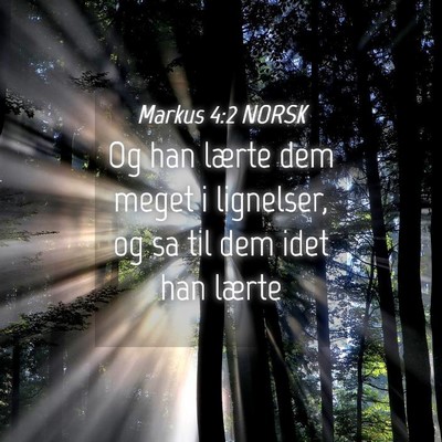 Picture 04 - Markus 4:2 NORSK - Og han lærte dem meget i lignelser, og sa til - Bible Verse Picture