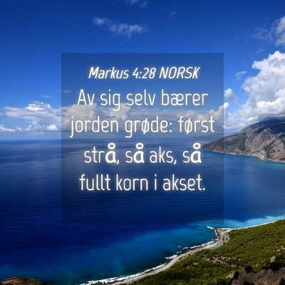 Picture 04 - Markus 4:28 NORSK - Av sig selv bærer jorden grøde: først strå, - Bible Verse Picture