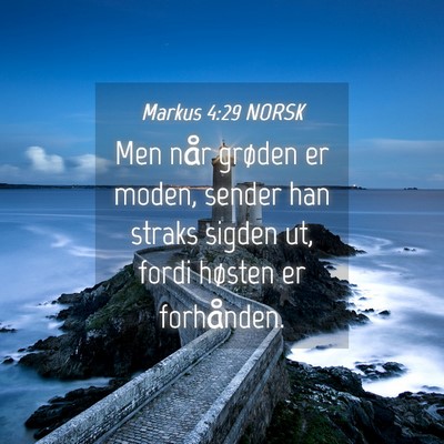 Picture 04 - Markus 4:29 NORSK - Men når grøden er moden, sender han straks - Bible Verse Picture