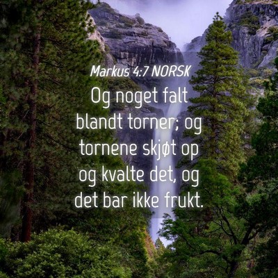 Picture 04 - Markus 4:7 NORSK - Og noget falt blandt torner; og tornene skjøt op - Bible Verse Picture