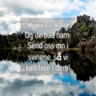 Picture 04 - Markus 5:12 NORSK - Og de bad ham: Send oss inn i svinene, så vi kan - Bible Verse Picture