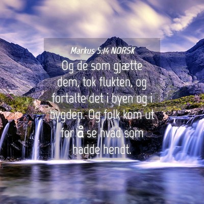 Picture 04 - Markus 5:14 NORSK - Og de som gjætte dem, tok flukten, og fortalte - Bible Verse Picture
