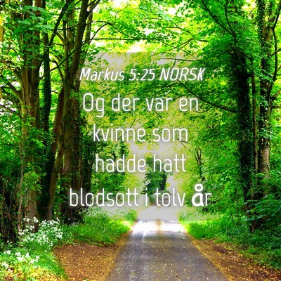 Picture 04 - Markus 5:25 NORSK - Og der var en kvinne som hadde hatt blodsott i - Bible Verse Picture