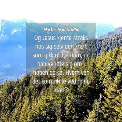 Picture 04 - Markus 5:30 NORSK - Og Jesus kjente straks hos sig selv den kraft som - Bible Verse Picture