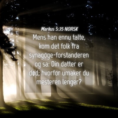 Picture 04 - Markus 5:35 NORSK - Mens han ennu talte, kom det folk fra - Bible Verse Picture
