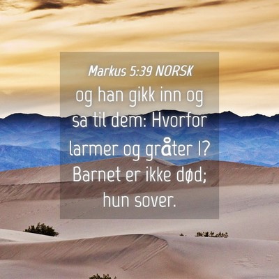 Picture 04 - Markus 5:39 NORSK - og han gikk inn og sa til dem: Hvorfor larmer og - Bible Verse Picture