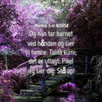 Picture 04 - Markus 5:41 NORSK - Og han tar barnet ved hånden og sier til henne: - Bible Verse Picture