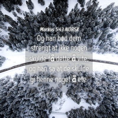 Picture 04 - Markus 5:43 NORSK - Og han bød dem strengt at ikke nogen skulde få - Bible Verse Picture