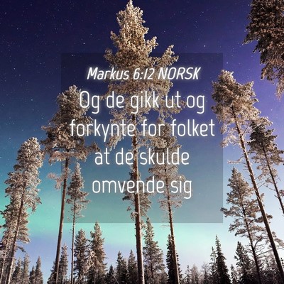 Picture 04 - Markus 6:12 NORSK - Og de gikk ut og forkynte for folket at de skulde - Bible Verse Picture