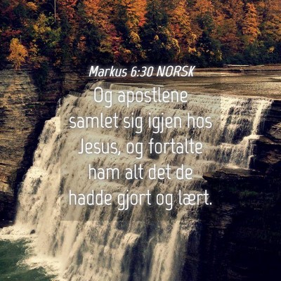 Picture 04 - Markus 6:30 NORSK - Og apostlene samlet sig igjen hos Jesus, og - Bible Verse Picture