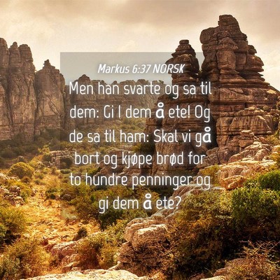 Picture 04 - Markus 6:37 NORSK - Men han svarte og sa til dem: Gi I dem å ete! Og - Bible Verse Picture