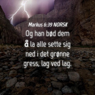 Picture 04 - Markus 6:39 NORSK - Og han bød dem å la alle sette sig ned i det - Bible Verse Picture