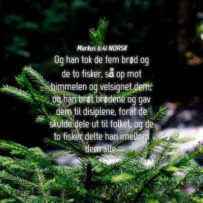 Picture 04 - Markus 6:41 NORSK - Og han tok de fem brød og de to fisker, så op - Bible Verse Picture