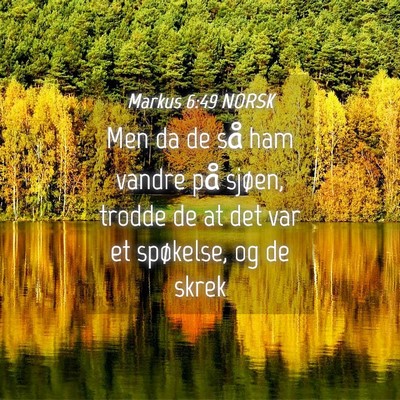 Picture 04 - Markus 6:49 NORSK - Men da de så ham vandre på sjøen, trodde de at - Bible Verse Picture