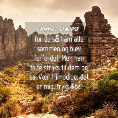 Picture 04 - Markus 6:50 NORSK - for de så ham alle sammen og blev forferdet. Men - Bible Verse Picture