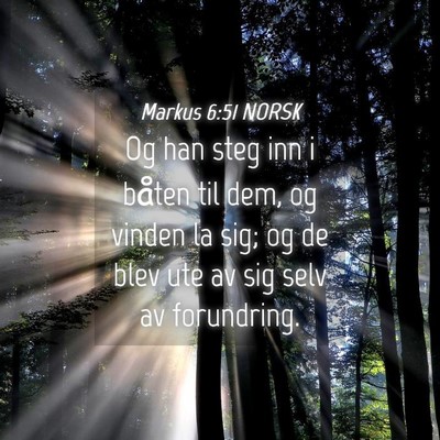 Picture 04 - Markus 6:51 NORSK - Og han steg inn i båten til dem, og vinden la - Bible Verse Picture