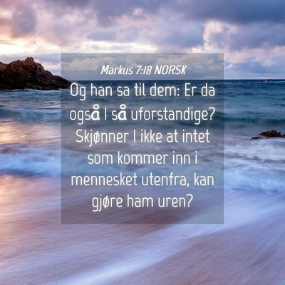 Picture 04 - Markus 7:18 NORSK - Og han sa til dem: Er da også I så - Bible Verse Picture