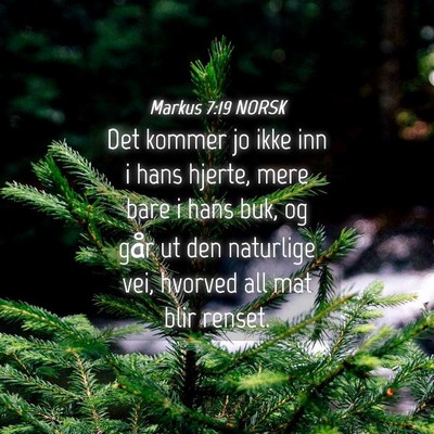 Picture 04 - Markus 7:19 NORSK - Det kommer jo ikke inn i hans hjerte, mere bare i - Bible Verse Picture