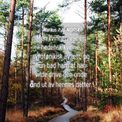 Picture 04 - Markus 7:26 NORSK - Men kvinnen var en hedensk kvinne, syrofønikisk - Bible Verse Picture