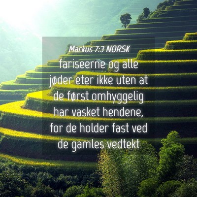 Picture 04 - Markus 7:3 NORSK - fariseerne og alle jøder eter ikke uten at de - Bible Verse Picture