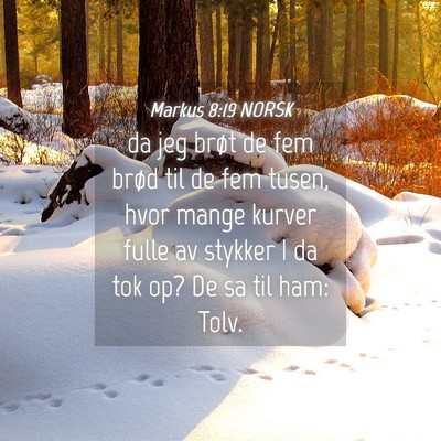 Picture 04 - Markus 8:19 NORSK - da jeg brøt de fem brød til de fem tusen, hvor - Bible Verse Picture