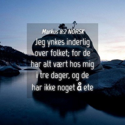 Picture 04 - Markus 8:2 NORSK - Jeg ynkes inderlig over folket; for de har alt - Bible Verse Picture