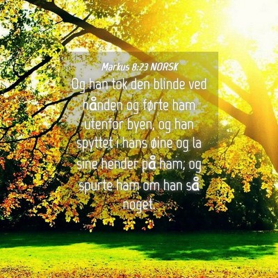 Picture 04 - Markus 8:23 NORSK - Og han tok den blinde ved hånden og førte ham - Bible Verse Picture