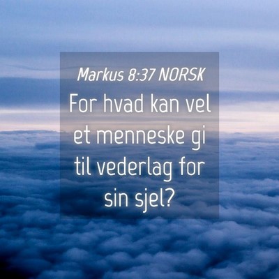 Picture 04 - Markus 8:37 NORSK - For hvad kan vel et menneske gi til vederlag for - Bible Verse Picture