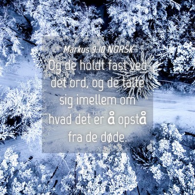 Picture 04 - Markus 9:10 NORSK - Og de holdt fast ved det ord, og de talte sig - Bible Verse Picture