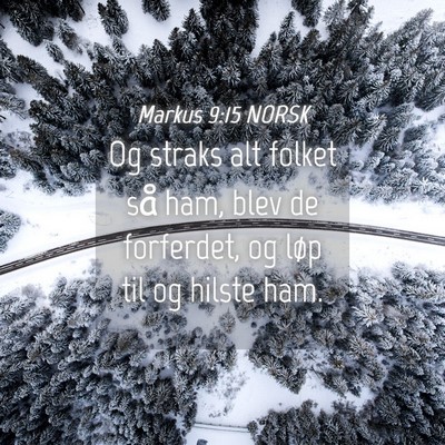 Picture 04 - Markus 9:15 NORSK - Og straks alt folket så ham, blev de forferdet, - Bible Verse Picture