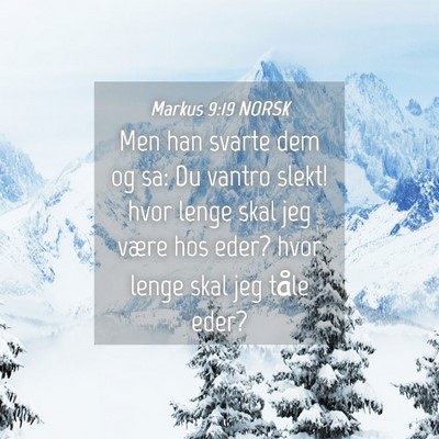 Picture 04 - Markus 9:19 NORSK - Men han svarte dem og sa: Du vantro slekt! hvor - Bible Verse Picture