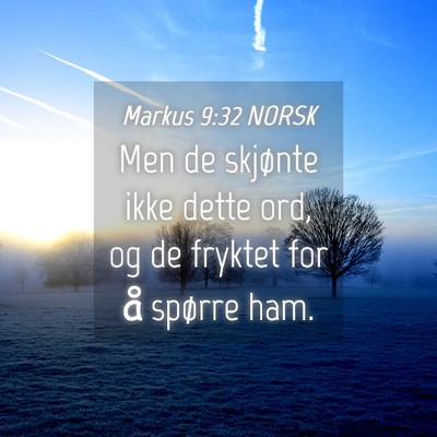 Picture 04 - Markus 9:32 NORSK - Men de skjønte ikke dette ord, og de fryktet for - Bible Verse Picture