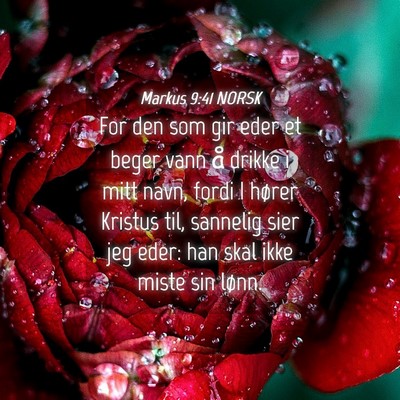 Picture 04 - Markus 9:41 NORSK - For den som gir eder et beger vann å drikke i - Bible Verse Picture