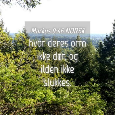 Picture 04 - Markus 9:46 NORSK - hvor deres orm ikke dør, og ilden ikke - Bible Verse Picture