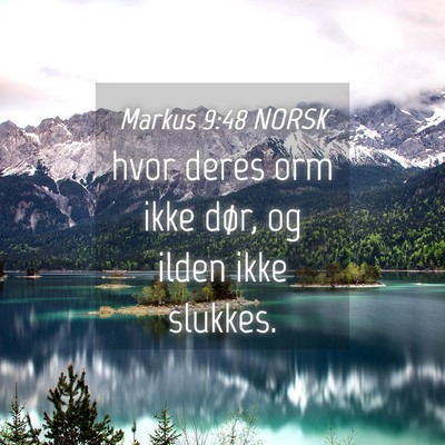 Picture 04 - Markus 9:48 NORSK - hvor deres orm ikke dør, og ilden ikke - Bible Verse Picture