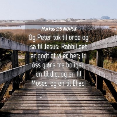 Picture 04 - Markus 9:5 NORSK - Og Peter tok til orde og sa til Jesus: Rabbi! det - Bible Verse Picture
