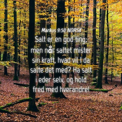Picture 04 - Markus 9:50 NORSK - Salt er en god ting; men når saltet mister sin - Bible Verse Picture