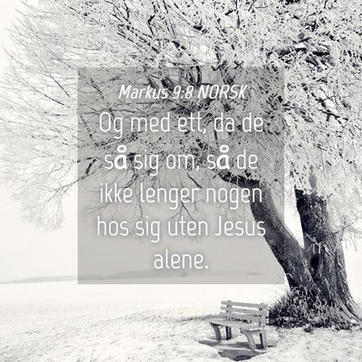 Picture 04 - Markus 9:8 NORSK - Og med ett, da de så sig om, så de ikke lenger - Bible Verse Picture