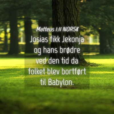 Picture 04 - Matteus 1:11 NORSK - Josias fikk Jekonja og hans brødre ved den tid - Bible Verse Picture