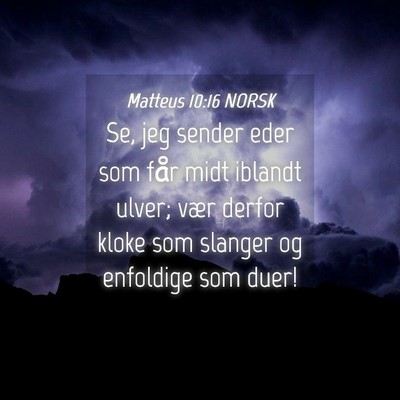 Picture 04 - Matteus 10:16 NORSK - Se, jeg sender eder som får midt iblandt ulver; - Bible Verse Picture