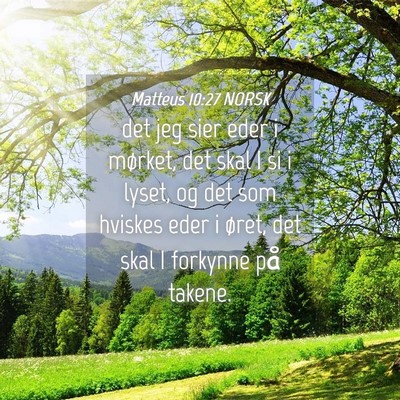 Picture 04 - Matteus 10:27 NORSK - det jeg sier eder i mørket, det skal I si i - Bible Verse Picture