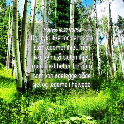 Picture 04 - Matteus 10:28 NORSK - Og frykt ikke for dem som slår legemet ihjel, - Bible Verse Picture