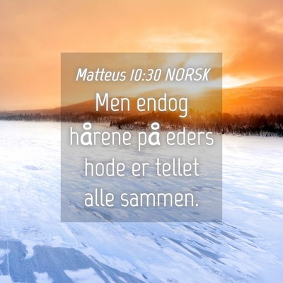 Picture 04 - Matteus 10:30 NORSK - Men endog hårene på eders hode er tellet alle - Bible Verse Picture