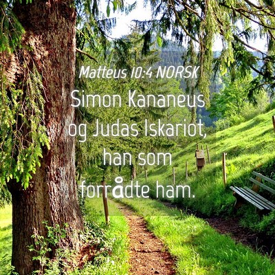 Picture 04 - Matteus 10:4 NORSK - Simon Kananeus og Judas Iskariot, han som - Bible Verse Picture
