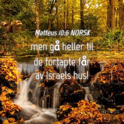 Picture 04 - Matteus 10:6 NORSK - men gå heller til de fortapte får av Israels - Bible Verse Picture
