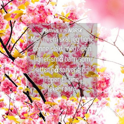 Picture 04 - Matteus 11:16 NORSK - Men hvem skal jeg ligne denne slekt med? Den - Bible Verse Picture