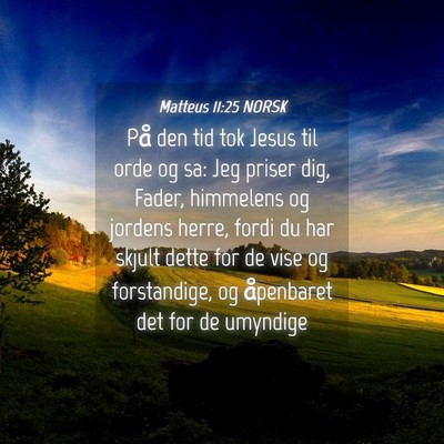 Picture 04 - Matteus 11:25 NORSK - På den tid tok Jesus til orde og sa: Jeg priser - Bible Verse Picture