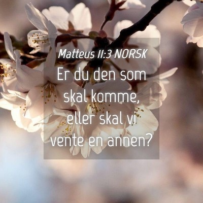 Picture 04 - Matteus 11:3 NORSK - Er du den som skal komme, eller skal vi vente en - Bible Verse Picture