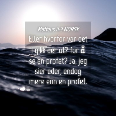 Picture 04 - Matteus 11:9 NORSK - Eller hvorfor var det I gikk der ut? for å se en - Bible Verse Picture